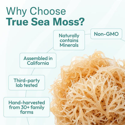 Purify True Sea Moss Irish Sea Moss Gel