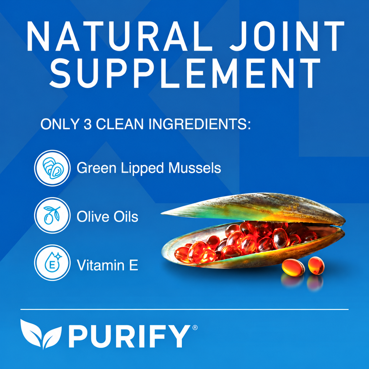 Joint Support Supplement